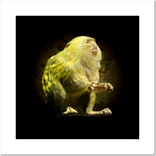 Marmoset Posters and Art